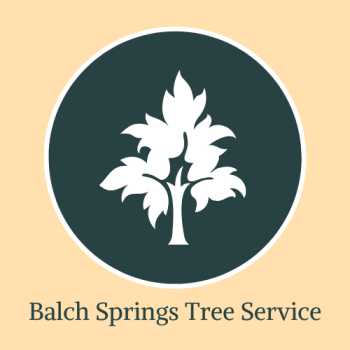 Balch Springs Tree Service Logo